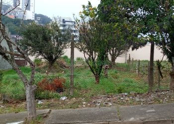 Terreno, no bairro Panazzolo em Caxias do Sul para Comprar