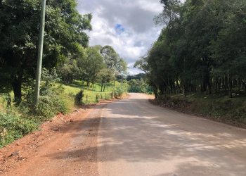 Chácara, no bairro Fazenda Souza em Caxias do Sul para Comprar