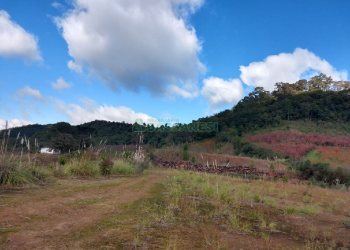 Terreno, no bairro São Ciro em Caxias do Sul para Comprar