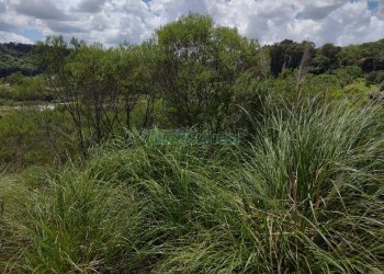 Terreno, no bairro Monte Bérico em Caxias do Sul para Comprar