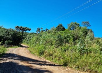 Chácara, no bairro Vila Seca em Caxias do Sul para Comprar