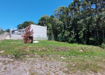 Terreno, no bairro Ana Rech em Caxias do Sul para Comprar