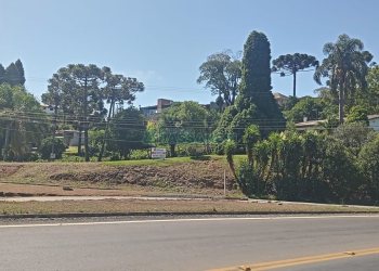 Casa, 3 dormitórios, 2 vagas, no bairro Uniao em Flores da Cunha para Comprar