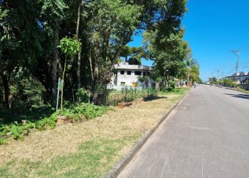 Terreno, no bairro Pedancino em Caxias do Sul para Comprar