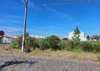 Terreno com 1500m², no bairro Nossa Senhora das Graças em Caxias do Sul para Alugar