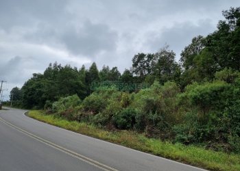 Chácara, no bairro Forqueta em Caxias do Sul para Comprar