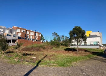 Terreno com 2195m², no bairro Nossa Senhora da Saúde em Caxias do Sul para Alugar ou Comprar