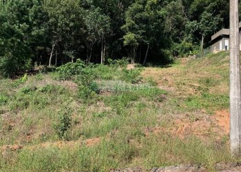 Terreno, no bairro São Luiz em Caxias do Sul para Comprar