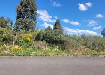 Terreno, no bairro Sanvitto em Caxias do Sul para Comprar