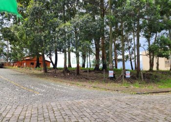 Terreno, no bairro Sanvitto em Caxias do Sul para Comprar