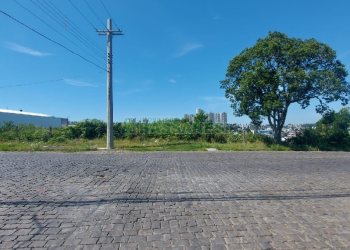 Terreno com 1800m², no bairro Nossa Senhora de Fátima em Caxias do Sul para Alugar