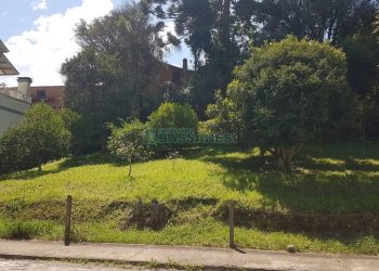 Terreno, no bairro Panazzolo em Caxias do Sul para Comprar