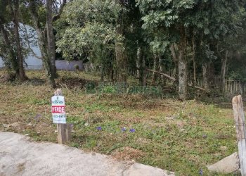 Terreno, no bairro Cidade Nova em Caxias do Sul para Comprar