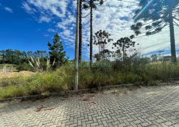 Terreno com 378m², no bairro Ana Rech em Caxias do Sul para Comprar