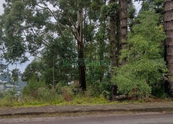 Terreno, no bairro Petrópolis em Caxias do Sul para Comprar