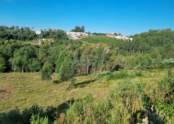 Terreno, no bairro Desvio Rizzo em Caxias do Sul para Comprar