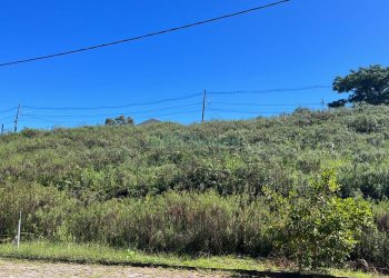 Terreno, no bairro São Luiz em Caxias do Sul para Comprar