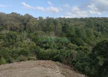 Terreno com 1465m², no bairro São Giácomo em Caxias do Sul para Comprar