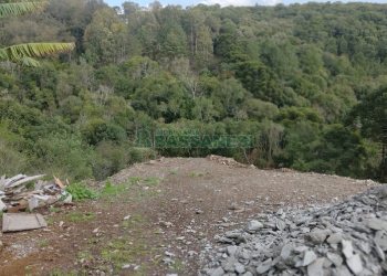 Terreno, no bairro São Giácomo em Caxias do Sul para Comprar