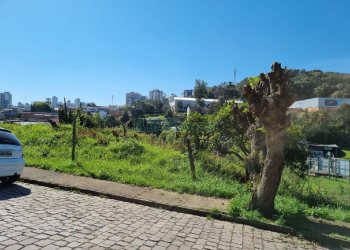 Terreno, no bairro Salgado Filho em Caxias do Sul para Comprar