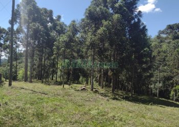 Chácara, no bairro Pedras Brancas em São Marcos para Comprar