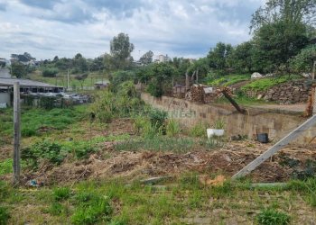 Terreno, no bairro Sanvitto em Caxias do Sul para Comprar