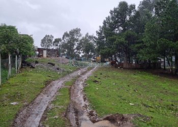 Terreno com 5551m², no bairro Nossa Senhora do Rosário em Caxias do Sul para Comprar