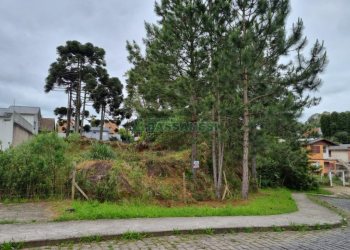 Terreno com 1787m², no bairro São Virgílio em Caxias do Sul para Comprar