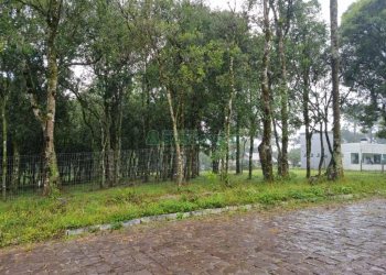 Terreno, no bairro Nossa Senhora do Rosário em Caxias do Sul para Comprar