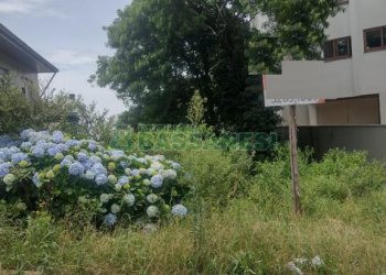 Terreno com 341m², no bairro Madureira em Caxias do Sul para Comprar