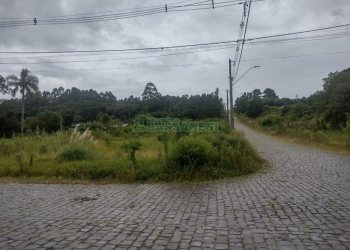 Terreno, no bairro Desvio Rizzo em Caxias do Sul para Comprar