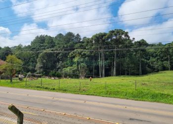 Chácara, no bairro Samuara em Caxias do Sul para Comprar