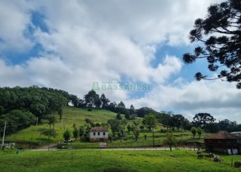 Chácara, no bairro Sao Giacomo em Caxias do Sul para Comprar