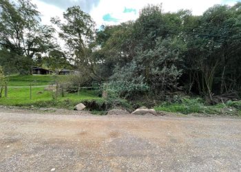 Chácara com 350m², no bairro Fazenda Souza em Caxias do Sul para Comprar