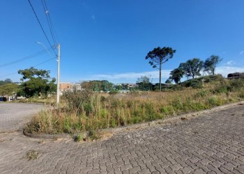 Terreno com 2807m², no bairro São Ciro em Caxias do Sul para Comprar