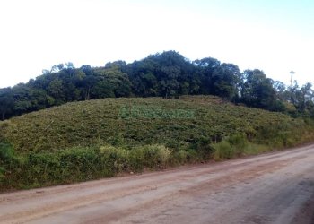 Chácara, no bairro Monte Bérico em Caxias do Sul para Comprar