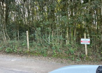 Terreno com 10062m², no bairro Pedancino em Caxias do Sul para Comprar