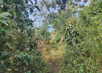 Terreno com 50544m², no bairro Salgado Filho em Caxias do Sul para Comprar
