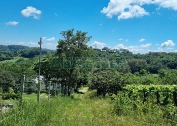 Chácara com 32710m², no bairro Linha Feijo em Caxias do Sul para Comprar