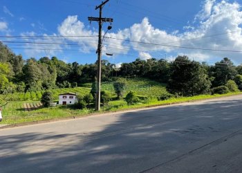 Terreno com 19262m², no bairro Diamantino em Caxias do Sul para Comprar