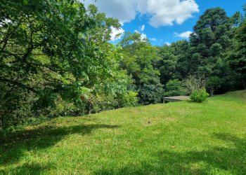 Chácara com 1672m², no bairro Linha 40 em Caxias do Sul para Comprar