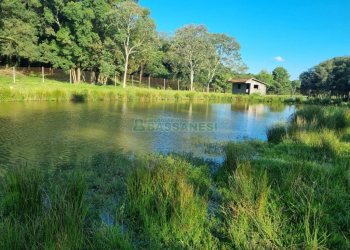 Chácara com 38600m², no bairro Fazenda Souza em Caxias do Sul para Comprar