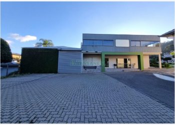 Pavilhão com 1000m², no bairro Maestra em Caxias do Sul para Alugar