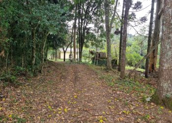 Chácara com 80m², 2 dormitórios, no bairro 3 Legua em Caxias do Sul para Comprar