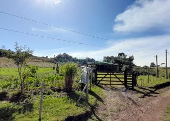 Terreno com 100m², no bairro Criúva em Caxias do Sul para Comprar