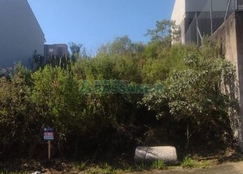 Terreno com 360m², no bairro São Luiz em Caxias do Sul para Comprar