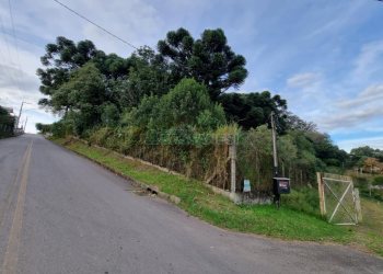 Terreno com 20413m², no bairro Pedancino em Caxias do Sul para Comprar