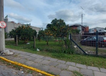 Terreno com 660m², no bairro Desvio Rizzo em Caxias do Sul para Comprar