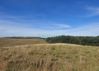Terreno, no bairro Fazenda Souza em Caxias do Sul para Comprar