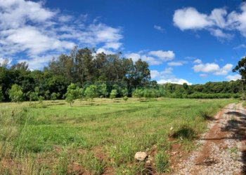 Chácara com 20000m², no bairro Linha 40 em Caxias do Sul para Comprar